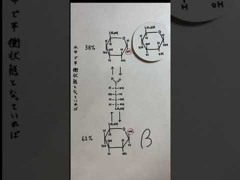薬学科 ［高校生以上向け］二糖類とその重合体