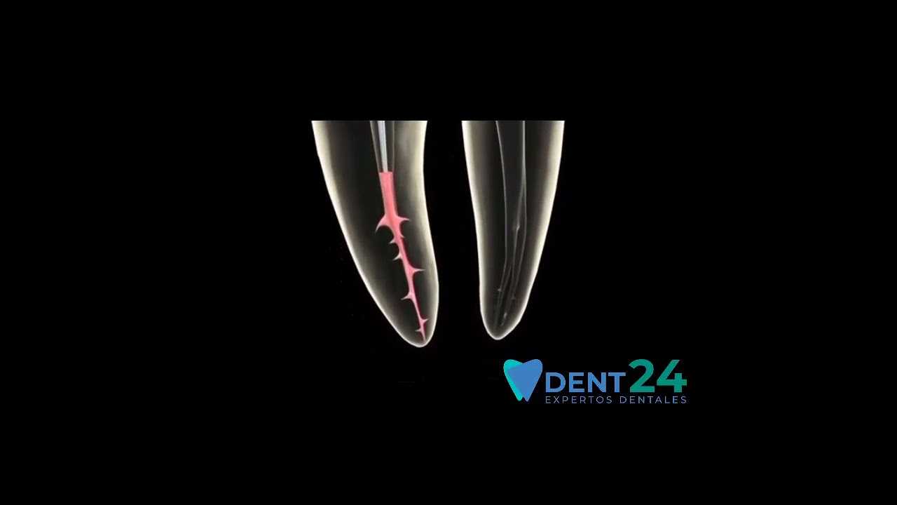 Laura Karla Becerra Gamiño-30