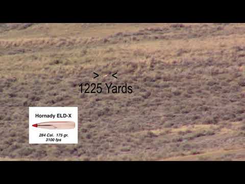 Wyoming Antelope at +1200 Yards!