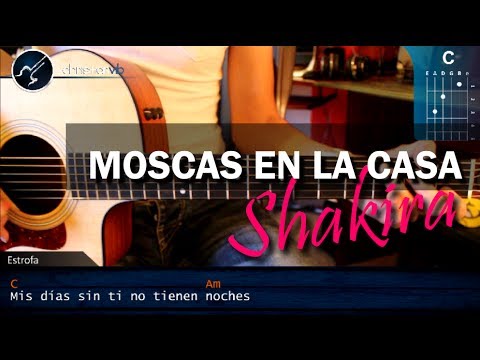 download lagu mp3 mp4 Moscas En La Casa Acordes, download lagu Moscas En La Casa Acordes gratis, unduh video klip Moscas En La Casa Acordes