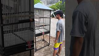 Download lagu SANGKAR BURUNG BEO DAN JALAK BALI KUALITAS ALUMINIUM #jalakbali #jalakbaligacor #burungbeo #beogacor mp3