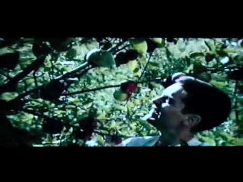 The Cider House Rules Trailer Vhs