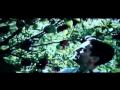 The Cider House Rules Trailer Vhs