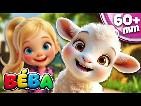 Mary Měla Jehňátko | 60+ minut | Písničky pro děti | BÉBA