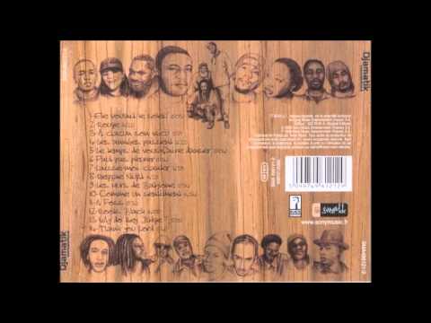 Djamatik - Laisse-moi chanter feat Doc Gyneco