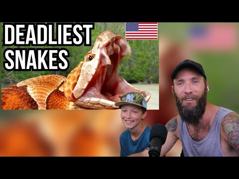 South African & Son React to Deadliest Snakes In The USA