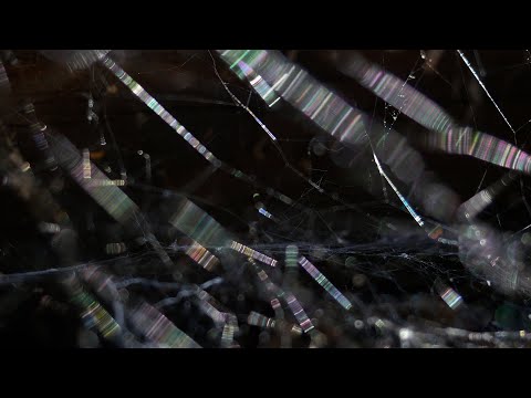 A Light Unseen - trailer | IFFR 2025