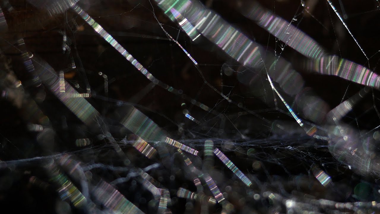 A Light Unseen - trailer | IFFR 2025