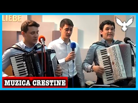 Beni Cibu și Prietenii - De ce mai plângi când sunt aici cu tine