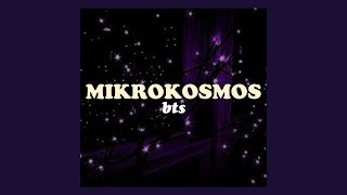 Download lagu BTS (방탄소년단) - 'Mikrokosmos (소우주)' Easy Lyrics mp3