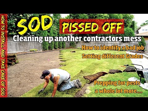 How NOT to Sod PLUS how to identify problems & Take Care of New SOD