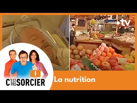 La nutrition - C'est pas sorcier [Intégrale]