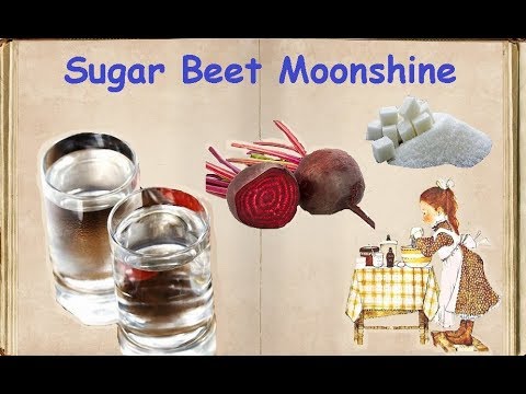 Sugar Beet Moonshine / Book of recipes / Bon Appetit