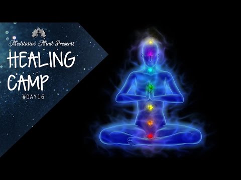 Unblock All 7 Chakras | Guided Meditation | Healing Camp 2016 | Day 16