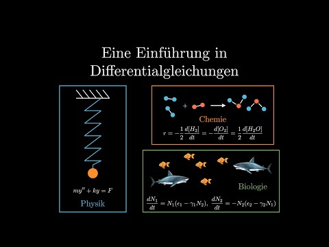 Eine Einführung in Differentialgleichungen