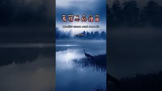 Download lagu Yi Qian Ge Shang Xin De Li You 一千个伤心的理由 #shorts mp3