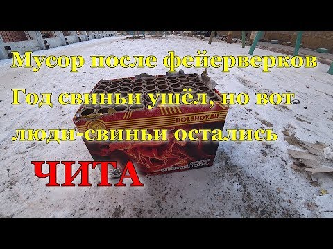 Мусор после Нового Года. Год свиньи ушел, но свиньи остались. Чита. 01.01.2020