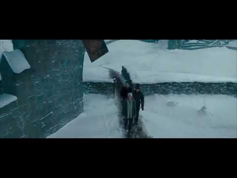 This is mad - Harry Potter and the Order of the Phoenix