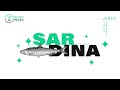 Campaña 12 meses - 12 peces SARDINA