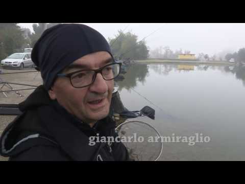 Hydra Day 2016 parte 1