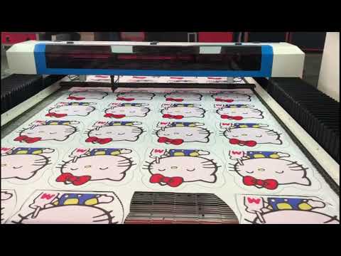 Contour Laser Cutter for Printed Fabrics with CCD Camera
