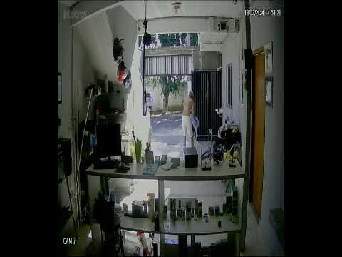 Ataque de abelhas no Planalto.