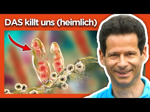 The hidden danger in the body (intense) Dr. Hartmut Fischer