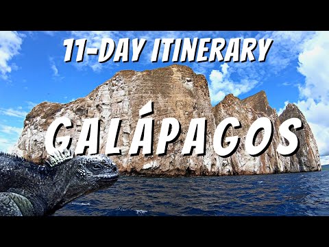 11-DAY ITINERARY GALÁPAGOS ISLANDS, ECUADOR | How To Visit The Galápagos Islands On A Budget
