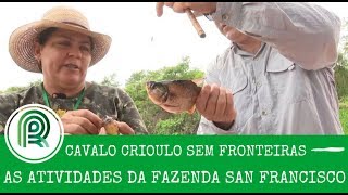 Miniatura do vídeo