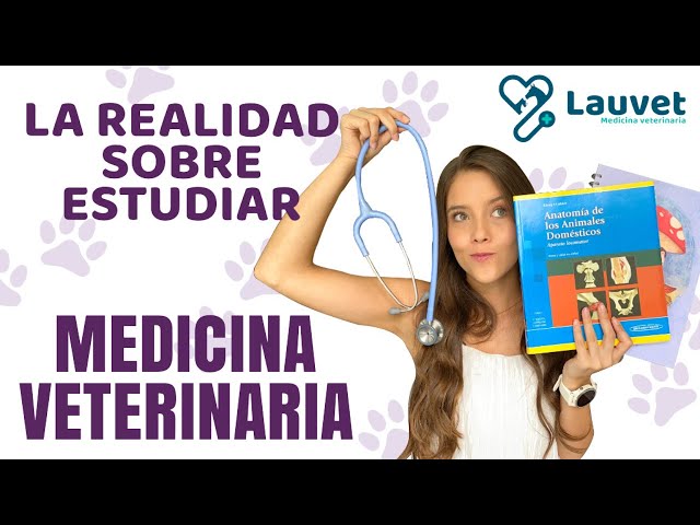 Vídeo relacionado con Academia de VETERINARIA (UNA PROFESION POR DESCUBRIR)