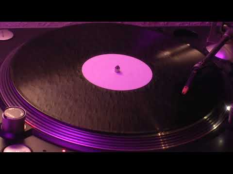 Amir Ad Fontes - Virtual Nature