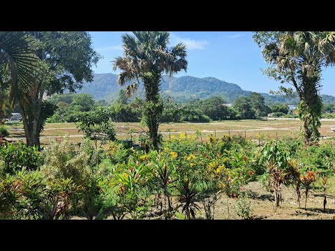 Recorrido a pie por Residencial La Esperanza,  San Miguel Pochuta,  Chimaltenango.