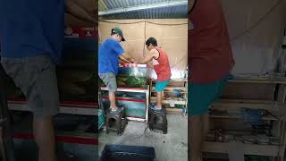 NAG LIPAT AKO NG AROWANA NAKATALON