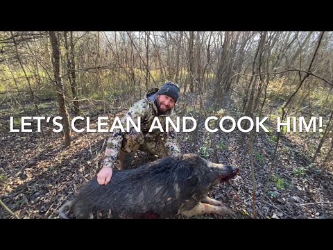 Catch Clean & Cook MONSTER Wild Boar (Feed the hungry)