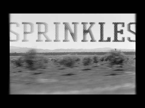 Mix 55: DJ Sprinkles' Controllable Desire 2006-2018 (Mule Musiq, Skylax, Comatonse)