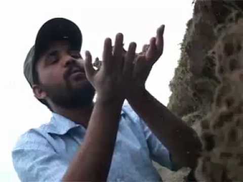 Abraham Gebremedhin- Megbey