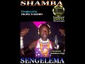 SENGELEMA SHAMBA By Lwenge Studio Usevya