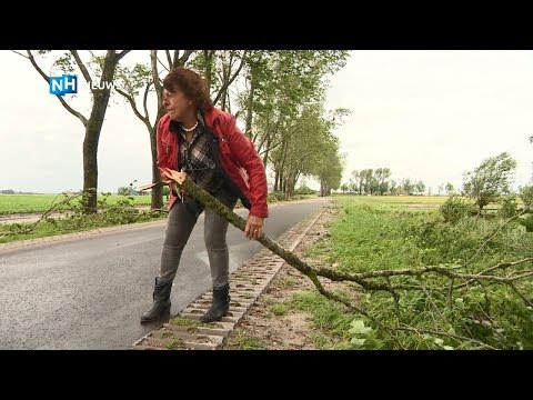 Ravage na storm Nieuwe Niedorp: "Hopen dat de bomen nu eindelijk gekapt worden"