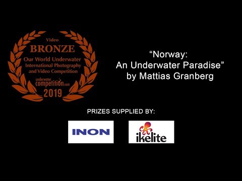 OWU 2019 Bronze Video Winner – “Norway: An Underwater Paradise” by Mattias Granberg