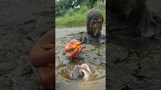 Download lagu Unbelievable Fishing Technology. Viral Fishing Video. #fish #reels mp3