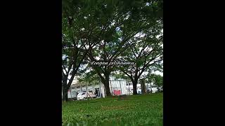 Download lagu Story Lirik - Aku Tetap Cinta (Repvblik Band) mp3 Download lagu Story Lirik - Aku Tetap Cinta (Repvblik Band) mp3