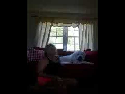 Logan's video