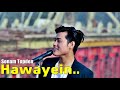 Hawayein | Sonam Topden | Jab Harry Met Sejal | Cover Song | Arijit Singh | Popular Bollywood Songs