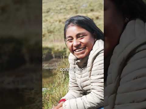 💧 En las alturas de Apurímac nace el agua que abastece a Abancay