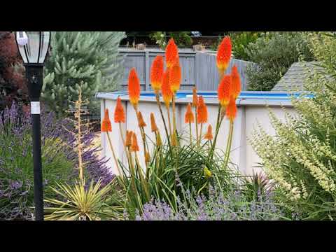 Videos from Taylor's Landscape Design