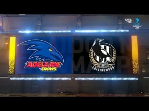 Round 22 Adelaide Crows Vs Collingwood Magpies 2019 Highlights