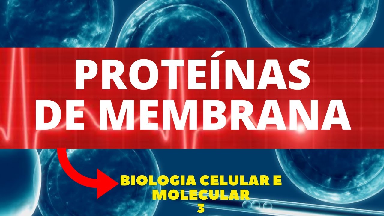 PROTEÍNAS DE MEMBRANA - BIOLOGIA MOLECULAR E CELULAR - AULA 3