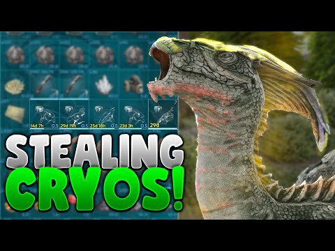STEALING CRYOS FROM BOBS! - Ark Solo Small Tribes Official - S2 Ep 5