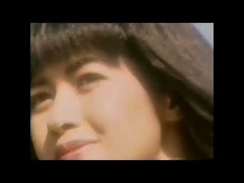 Tình - Nhạc Văn Phụng - Ý Lan