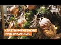 Kerstbomentekort in VS en Canada: boom minstens 4 keer zo duur dan normaal